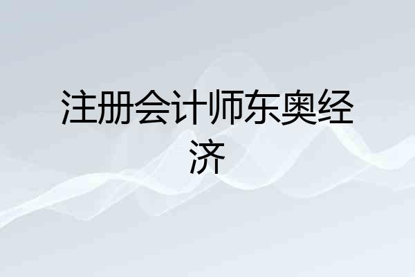 注册会计师东奥经济