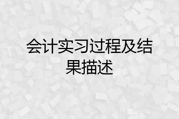 会计实习过程及结果描述