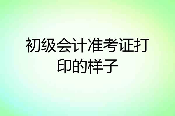 初级会计准考证打印的样子