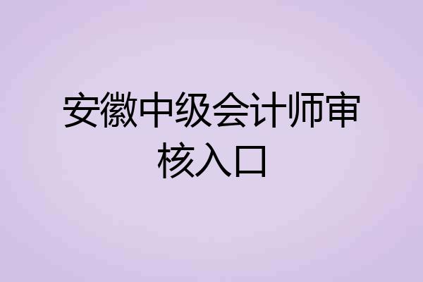 安徽中级会计师审核入口