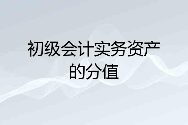 初级会计实务资产的分值