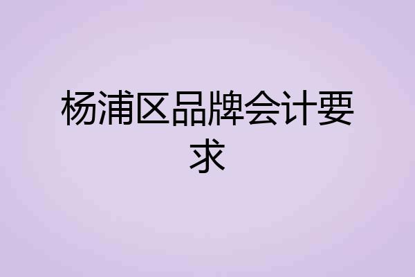 杨浦区品牌会计要求