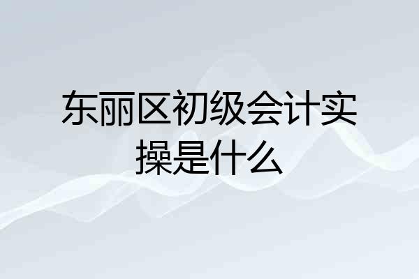 东丽区初级会计实操是什么