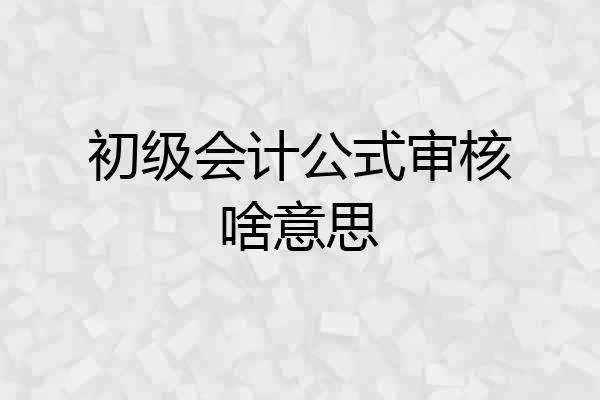 初级会计公式审核啥意思