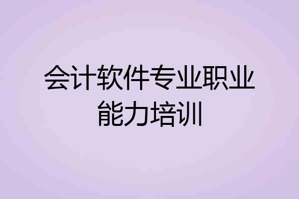 会计软件专业职业能力培训