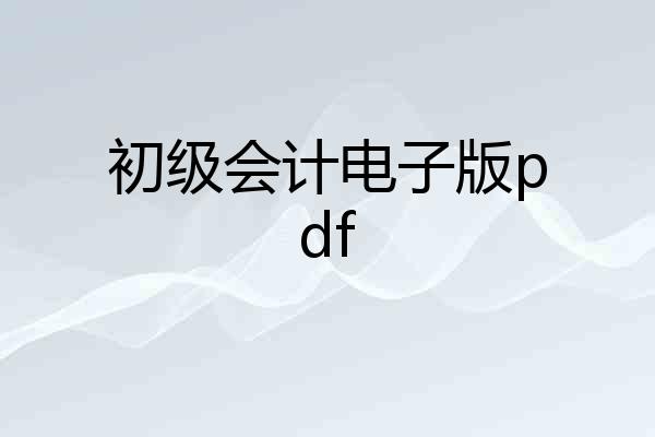 初级会计电子版pdf
