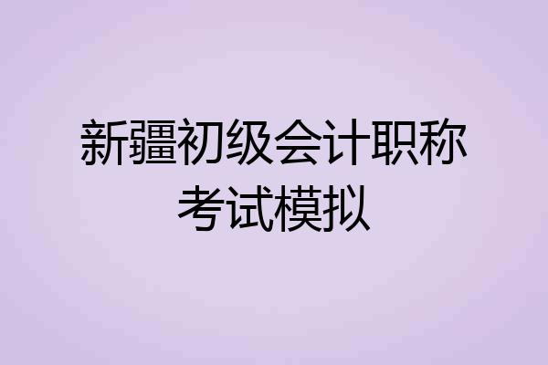 新疆初级会计职称考试模拟