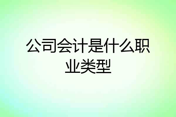 公司会计是什么职业类型