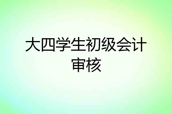 大四学生初级会计审核