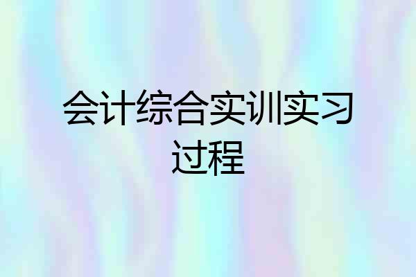 会计综合实训实习过程