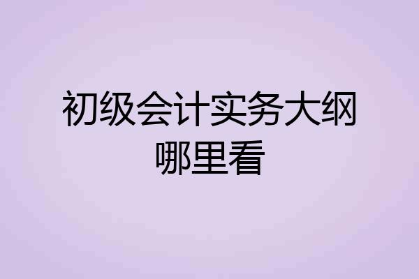 初级会计实务大纲哪里看