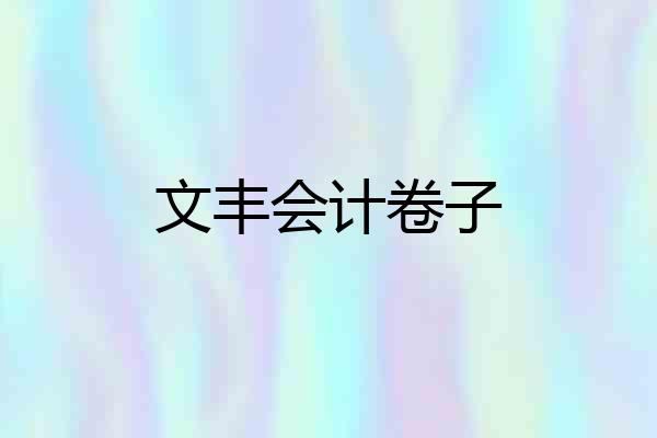 文丰会计卷子