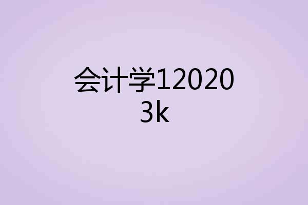 会计学120203k