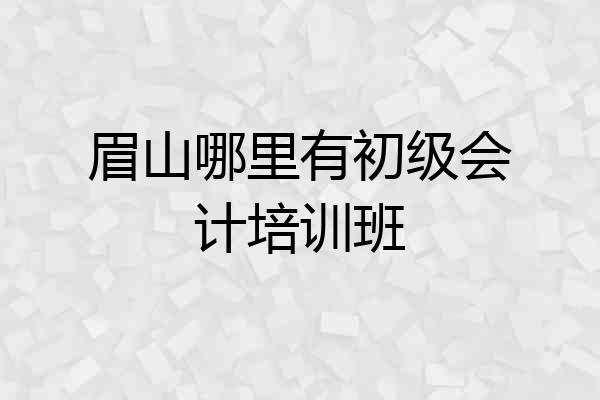 眉山哪里有初级会计培训班
