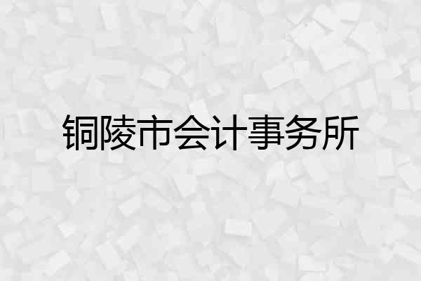 铜陵市会计事务所