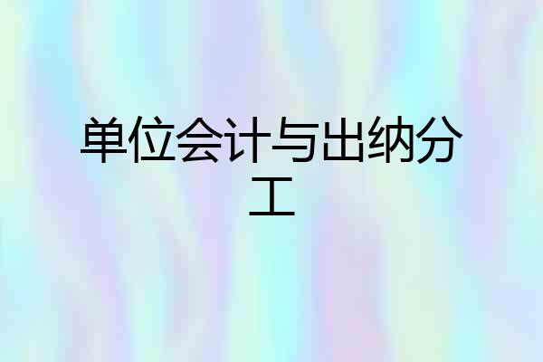 单位会计与出纳分工