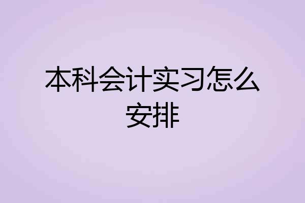 本科会计实习怎么安排