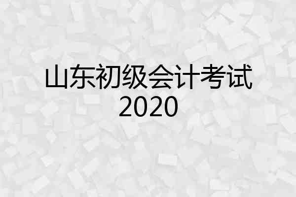 山东初级会计考试2020