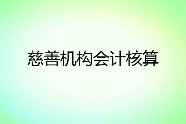 慈善机构会计核算