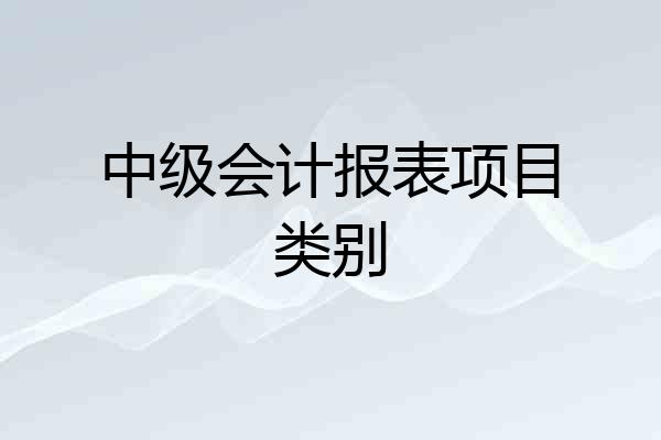中级会计报表项目类别
