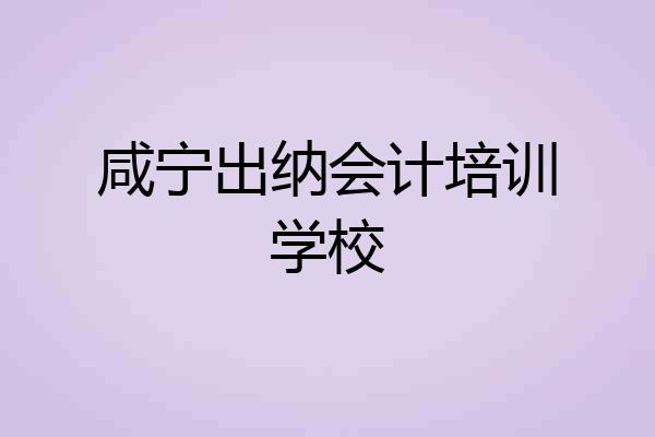 咸宁出纳会计培训学校