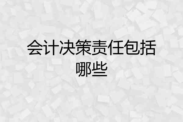 会计决策责任包括哪些