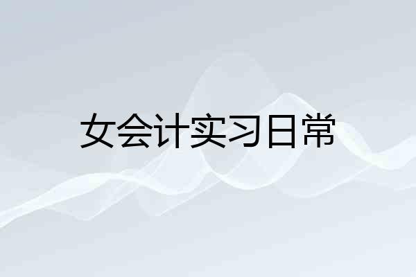 女会计实习日常