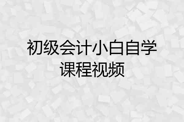初级会计小白自学课程视频