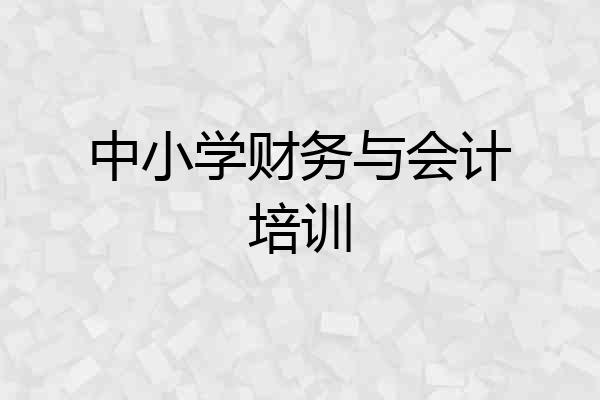 中小学财务与会计培训