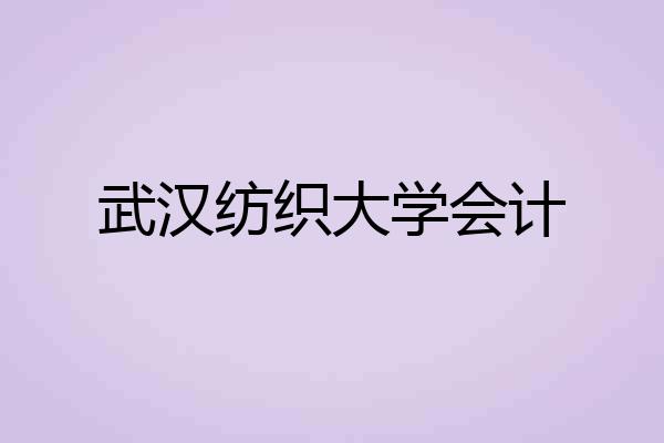 武汉纺织大学会计