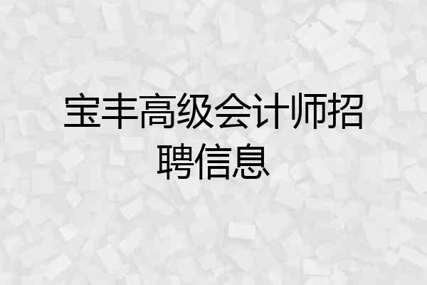 宝丰高级会计师招聘信息