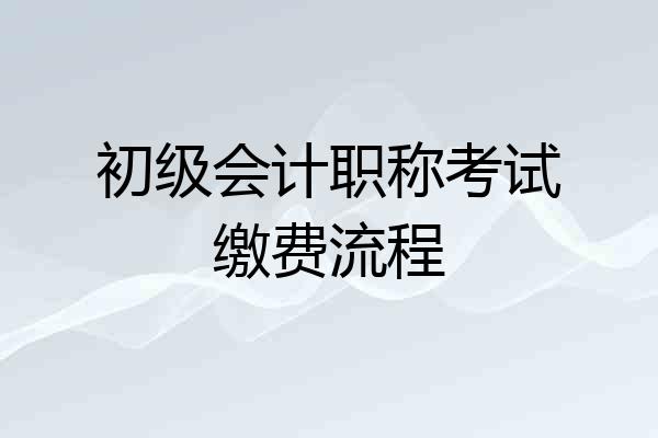 初级会计职称考试缴费流程