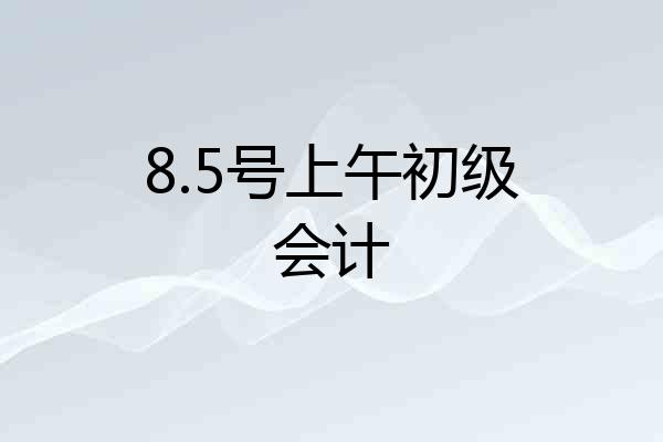 8.5号上午初级会计