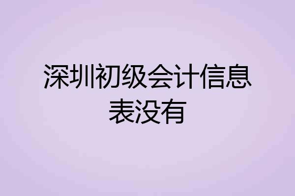 深圳初级会计信息表没有