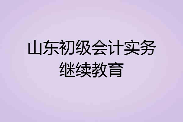 山东初级会计实务继续教育