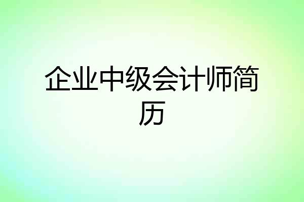 企业中级会计师简历