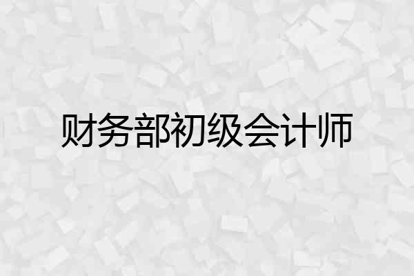财务部初级会计师