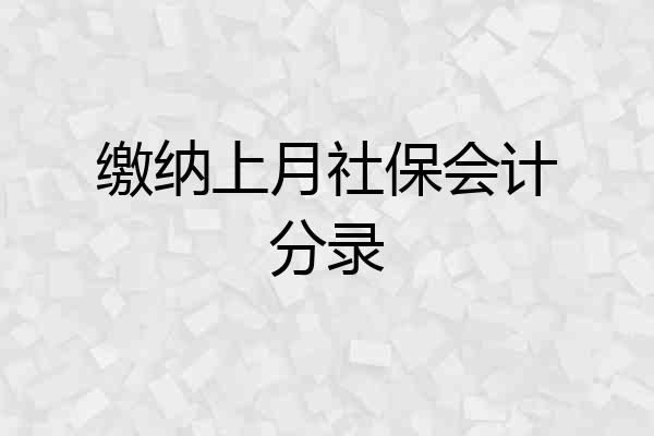 缴纳上月社保会计分录