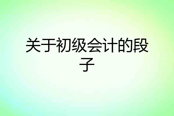 关于初级会计的段子