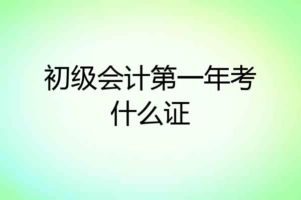 初级会计第一年考什么证