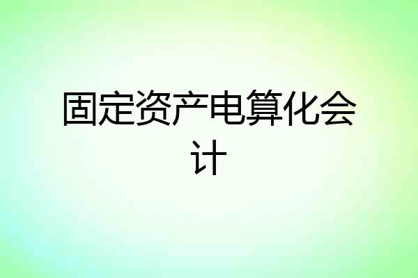 固定资产电算化会计