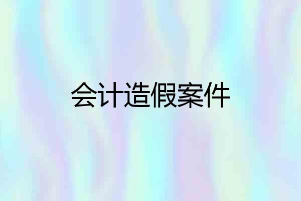 会计造假案件