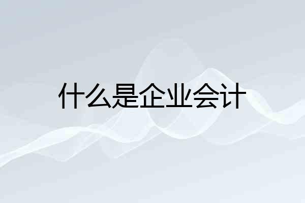 什么是企业会计