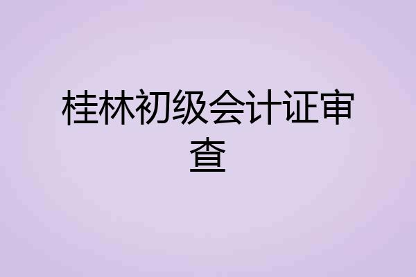 桂林初级会计证审查