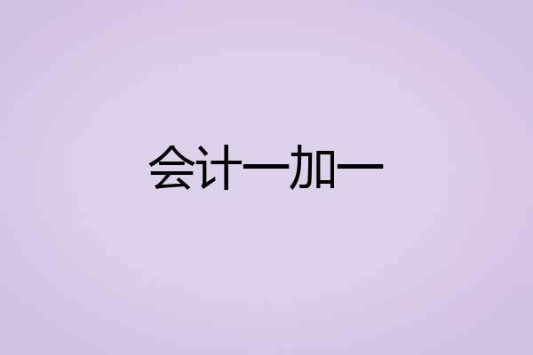 会计一加一