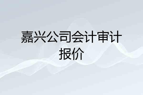嘉兴公司会计审计报价