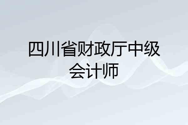 四川省财政厅中级会计师