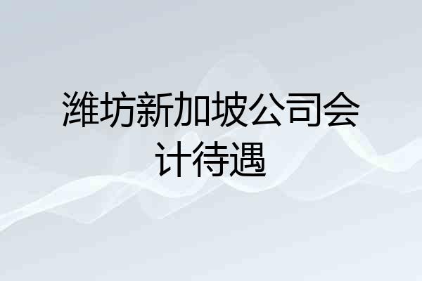 潍坊新加坡公司会计待遇