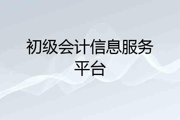 初级会计信息服务平台