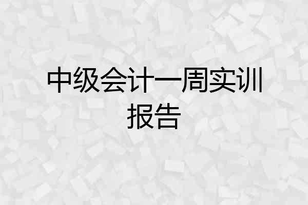 中级会计一周实训报告